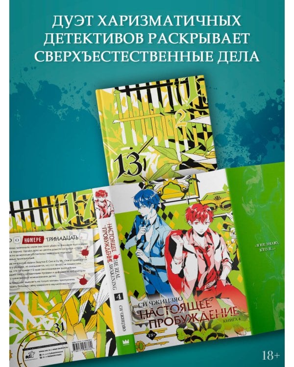 Настоящее пробуждение. Real Awakening. Книга 4