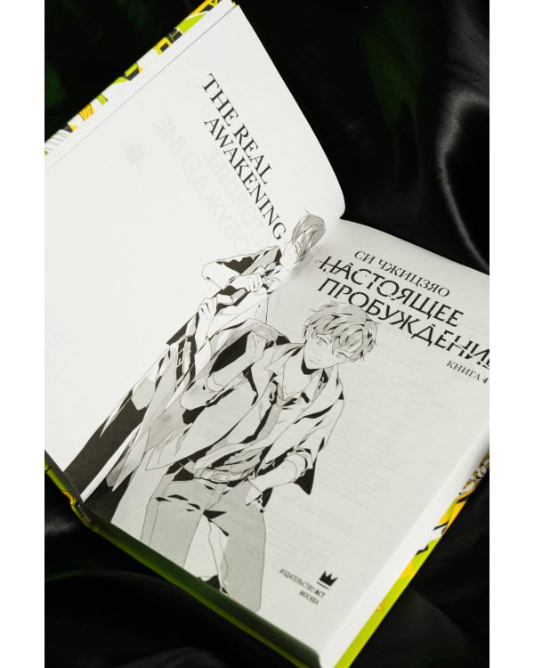 Настоящее пробуждение. Real Awakening. Книга 4