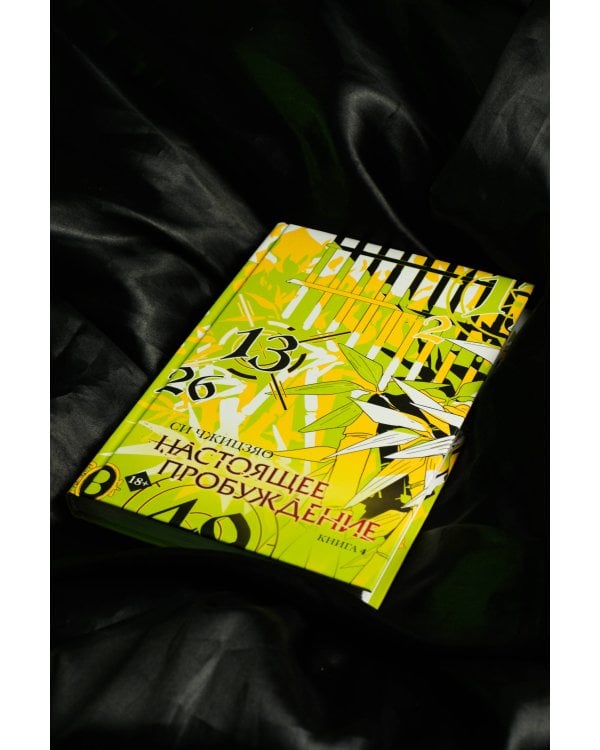 Настоящее пробуждение. Real Awakening. Книга 4