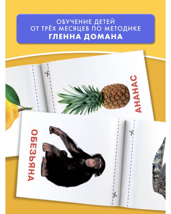 Развивающие карточки Домана для малышей комплект из 6 книг