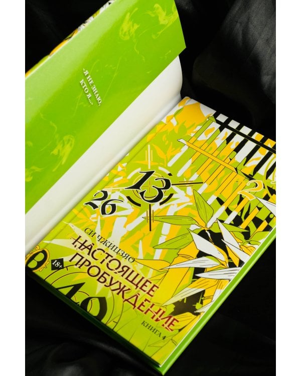 Настоящее пробуждение. Real Awakening. Книга 4