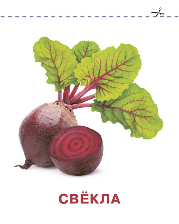 Развивающие карточки Домана для малышей комплект из 6 книг