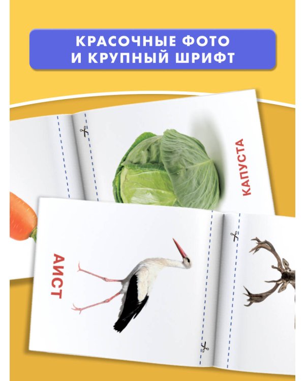 Развивающие карточки Домана для малышей комплект из 6 книг