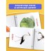 Развивающие карточки Домана для малышей комплект из 6 книг