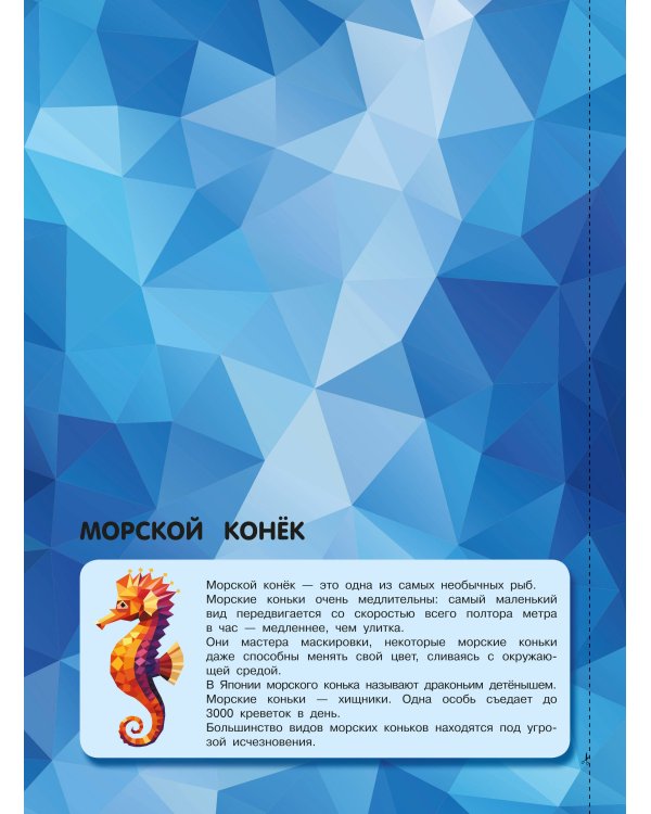 Подводный мир
