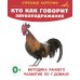 Запуск речи. Комплект из 6 книг