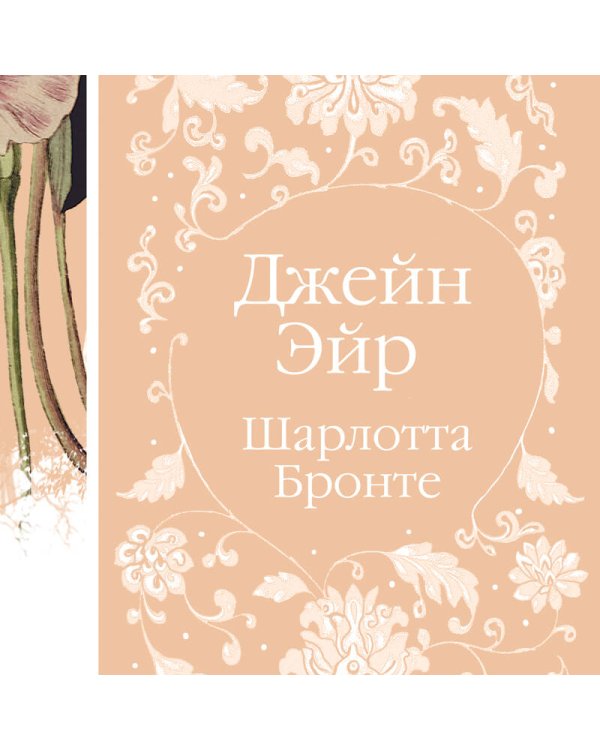 Дополнительное изображение книги «Джейн Эйр»