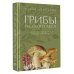 Грибы русского леса. Иллюстрированный определитель