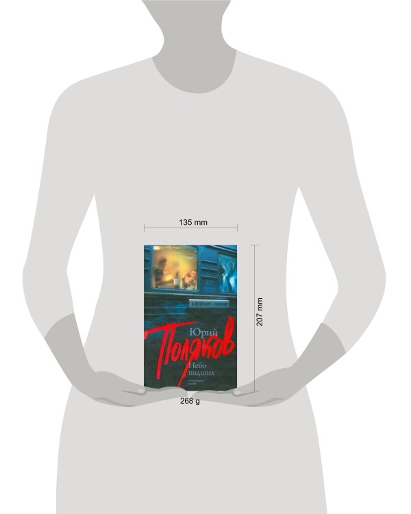 Дополнительное изображение книги «Небо падших»