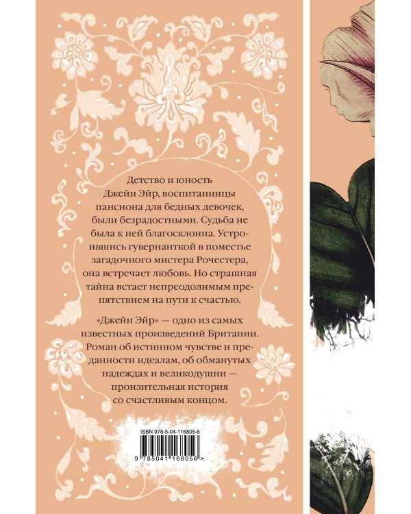 Дополнительное изображение книги «Джейн Эйр»