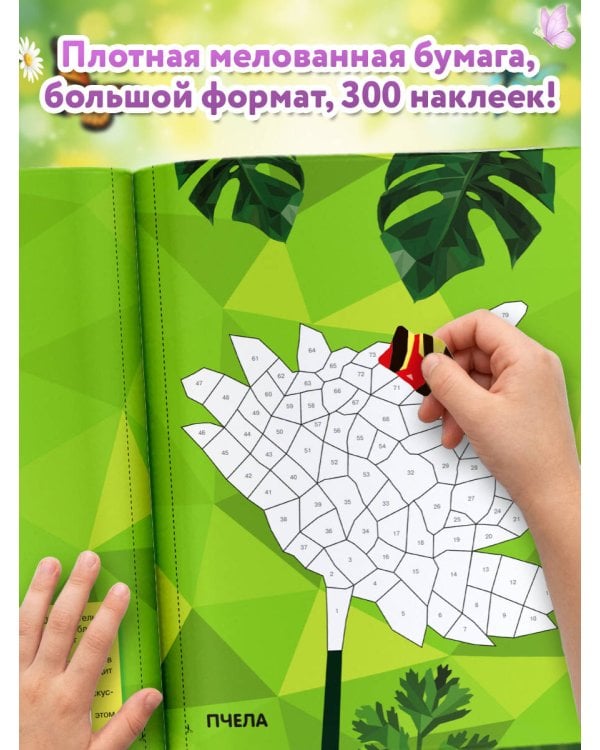 Дополнительное изображение книги «Насекомые»