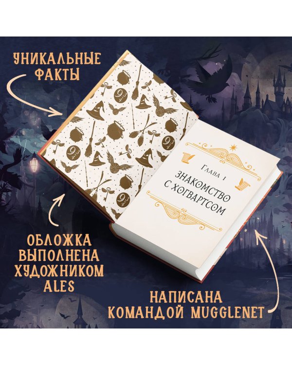 Комлект из 2 книг. Гарри Поттер фанбук. Северус + Я получил сову! (ИК)