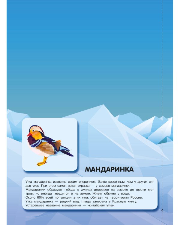 Птицы