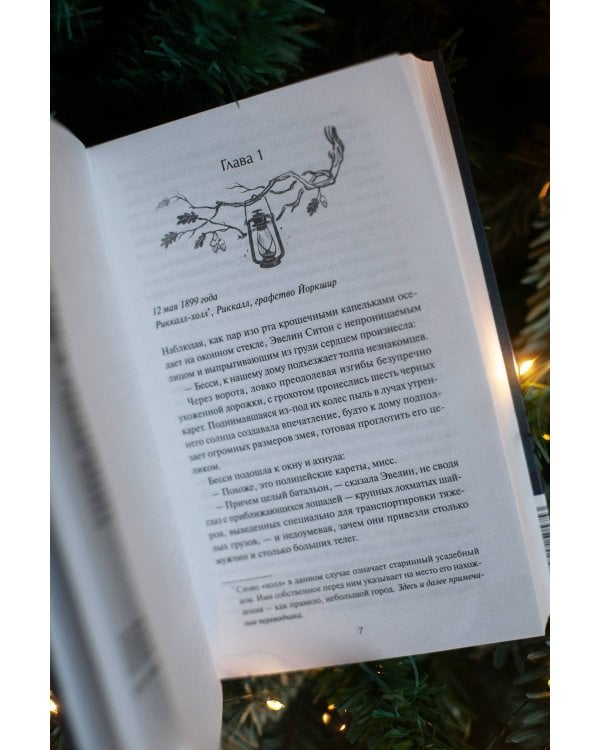 Книжная лавка фонарщика