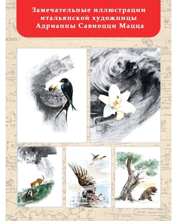 Сказки и легенды