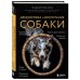 Дрессировка и воспитание собаки (новое оформление) Дрессировка и воспитание собаки (новое оформление)
