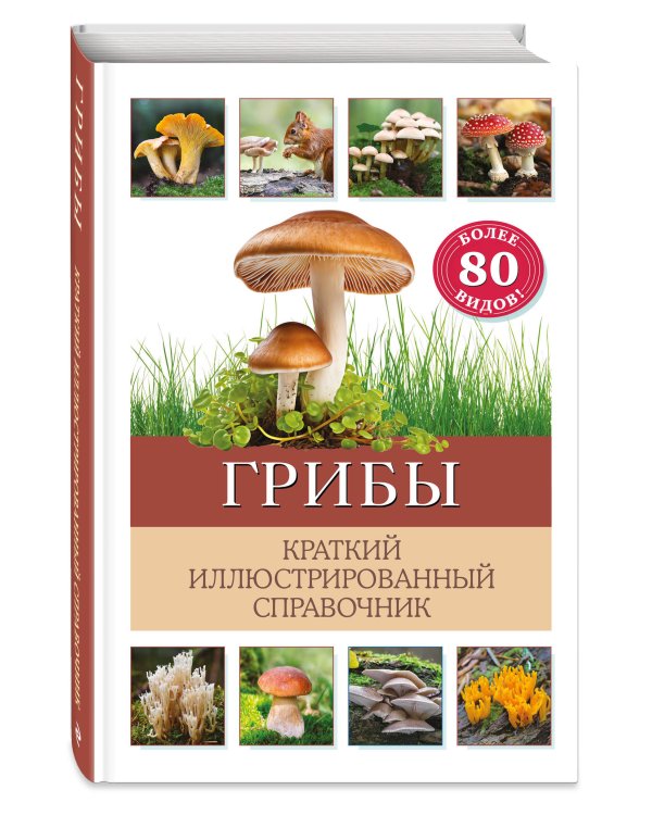 Грибы. Краткий иллюстрированный справочник