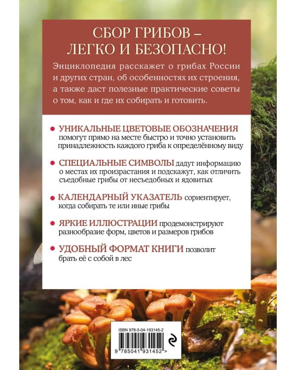 Грибы. Краткий иллюстрированный справочник