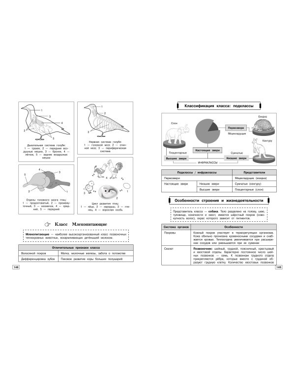 Дополнительное изображение книги «Биология»