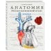 Интерактивная анатомия: лучшие атласы – раскраски Анатомия: русско-латинский атлас-раскраска