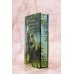 Легенда о разорении династий. Книга 1. Снег и туман