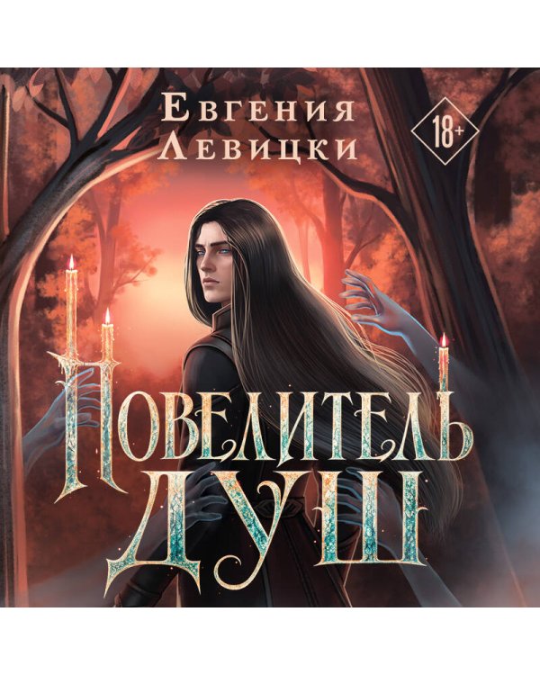 Дополнительное изображение книги «Повелитель душ»