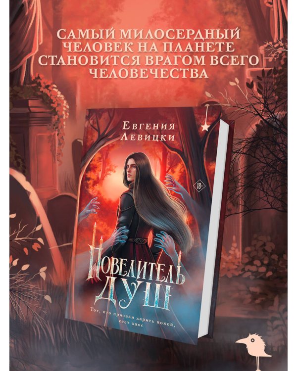 Дополнительное изображение книги «Повелитель душ»