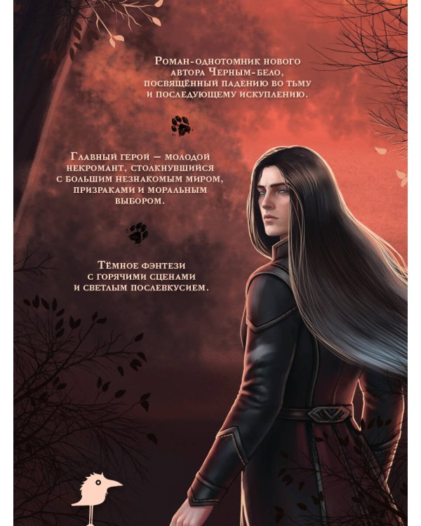 Дополнительное изображение книги «Повелитель душ»