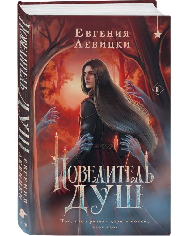 Дополнительное изображение книги «Повелитель душ»