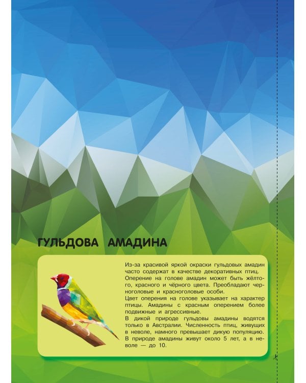 Птицы и подводный мир