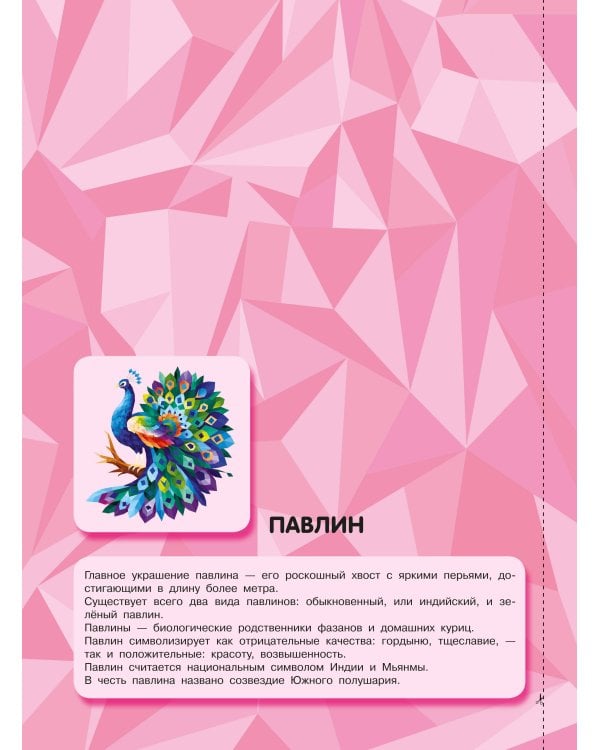 Птицы и подводный мир