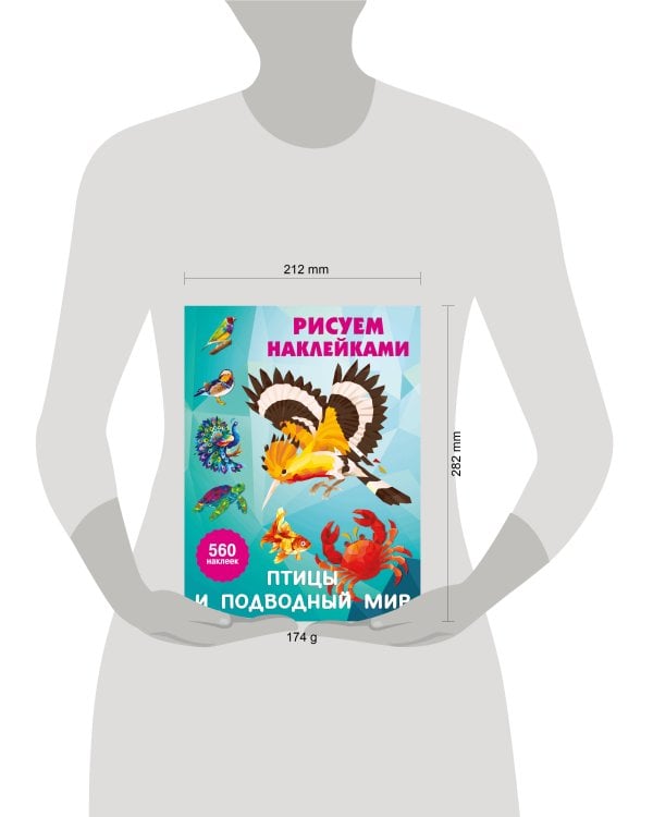Птицы и подводный мир