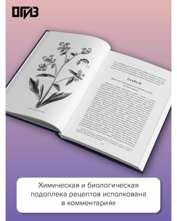 Дополнительное изображение книги «Трактат о косметических средствах и варенье»