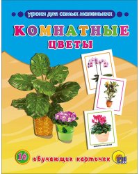 ОБУЧАЮЩИЕ КАРТОЧКИ. КОМНАТНЫЕ ЦВЕТЫ