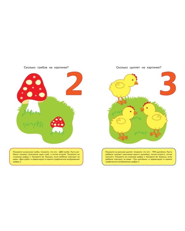 Цифры и числа (1-2 года)