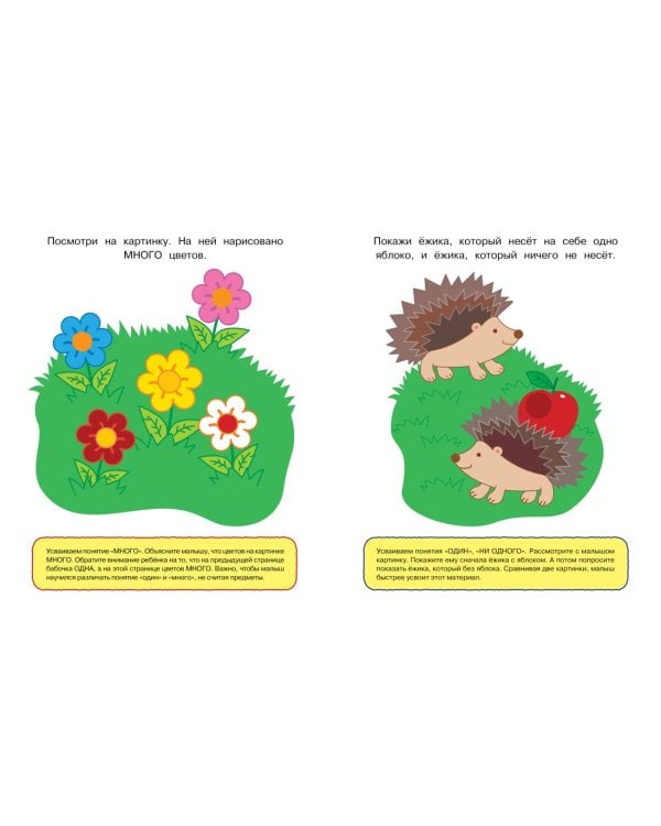 Цифры и числа (1-2 года)