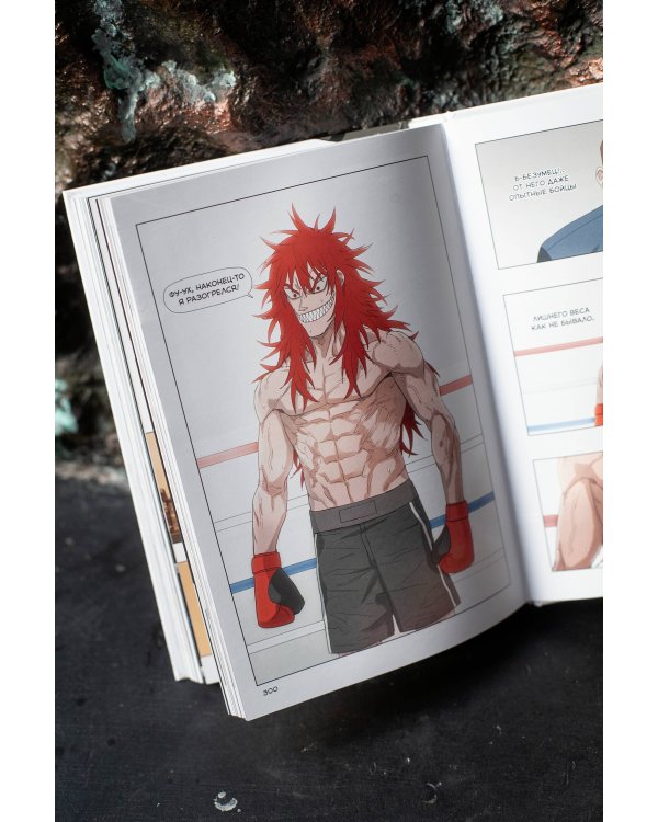 Боксер. Том 2