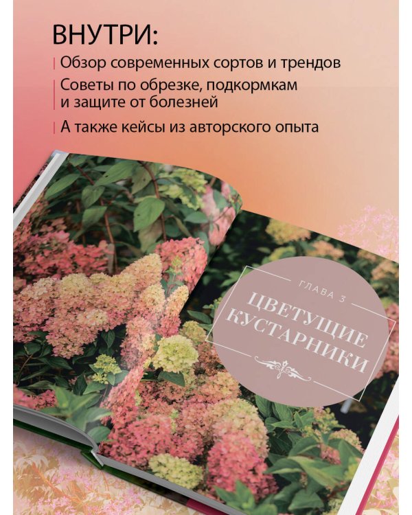Красивый сад на все сезоны. Как создать выразительные композиции из хвойных и декоративных кустарников