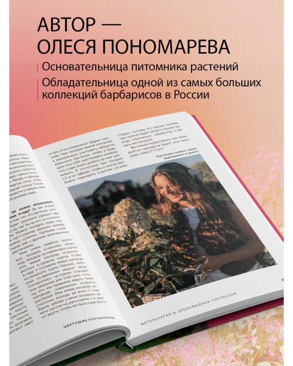 Красивый сад на все сезоны. Как создать выразительные композиции из хвойных и декоративных кустарников
