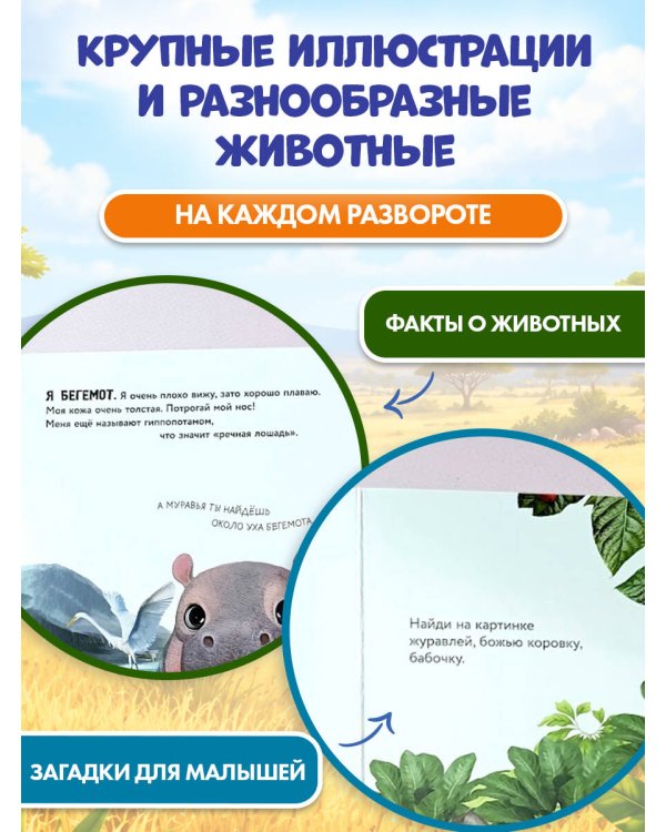 Дополнительное изображение книги «Рассмотри и погладь! (жираф)»