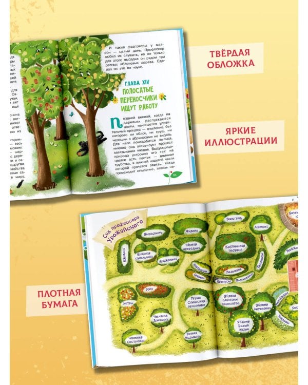 Тайна покинутого сада