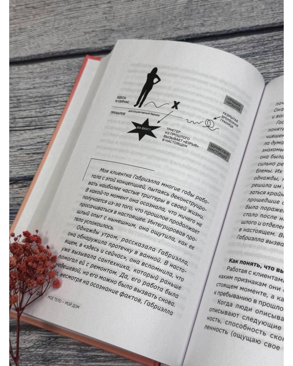 МОЕ ТЕЛО – МОЙ ДОМ.  Телесная осознанность для исцеления травм и работы с разрушающими эмоциями