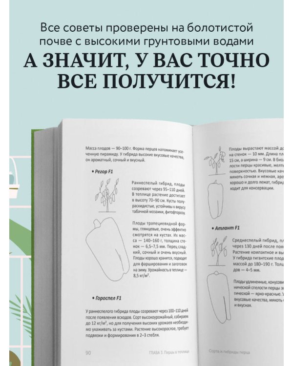 Теплица без ошибок. Все, что нужно знать, чтобы получить ранний и богатый урожай