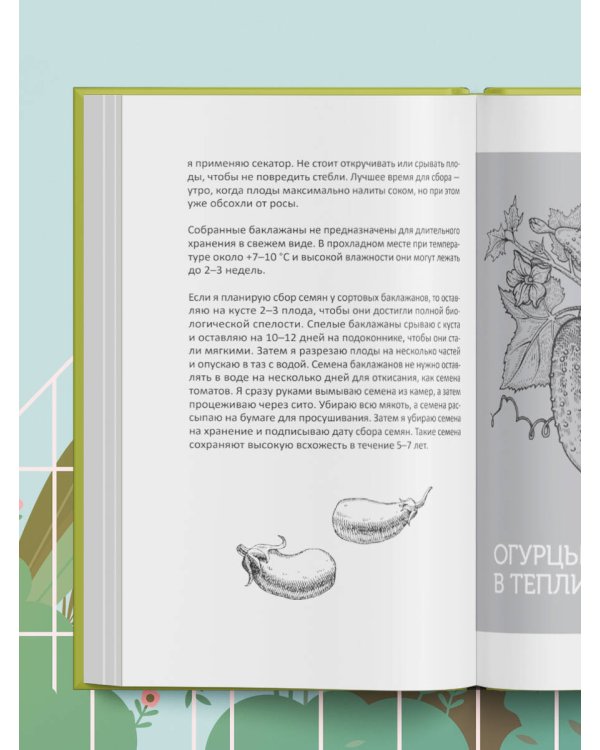 Теплица без ошибок. Все, что нужно знать, чтобы получить ранний и богатый урожай