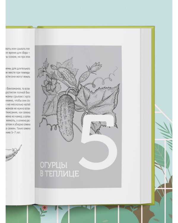 Теплица без ошибок. Все, что нужно знать, чтобы получить ранний и богатый урожай