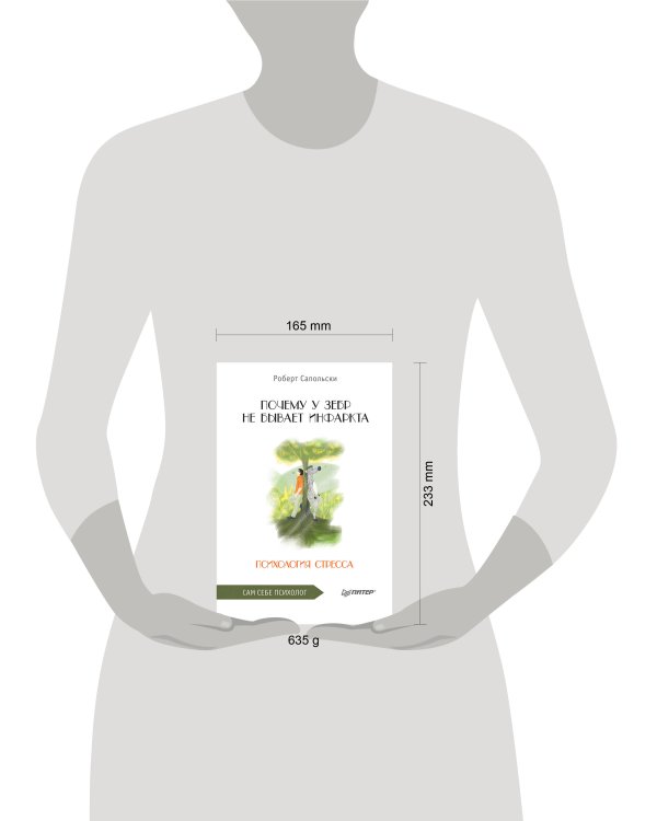 Почему у зебр не бывает инфаркта. Психология стресса