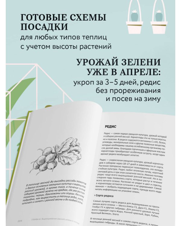 Теплица без ошибок. Все, что нужно знать, чтобы получить ранний и богатый урожай