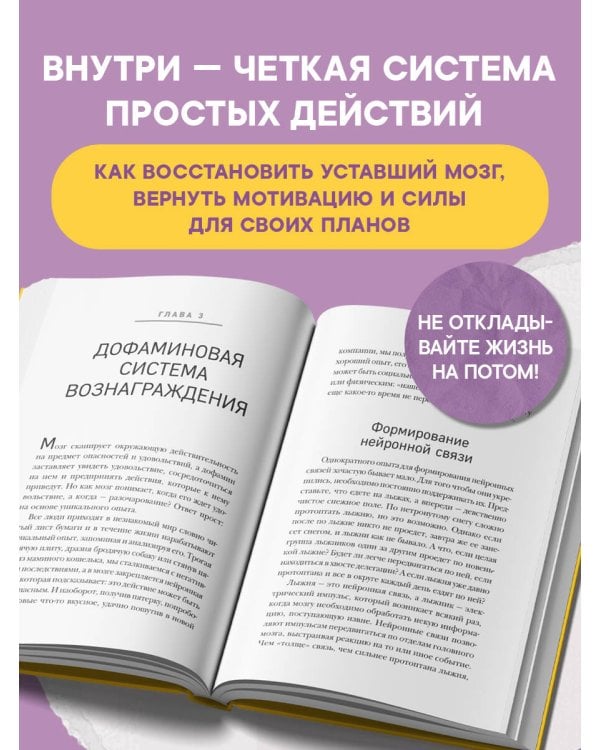 Дополнительное изображение книги «Мозг на дофамине. Как работа главной молекулы мотивации влияет на ваше физическое и психическое здоровье»