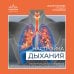 Настройка дыхания. Упражнения для восстановления нервной системы и активации блуждающего нерва