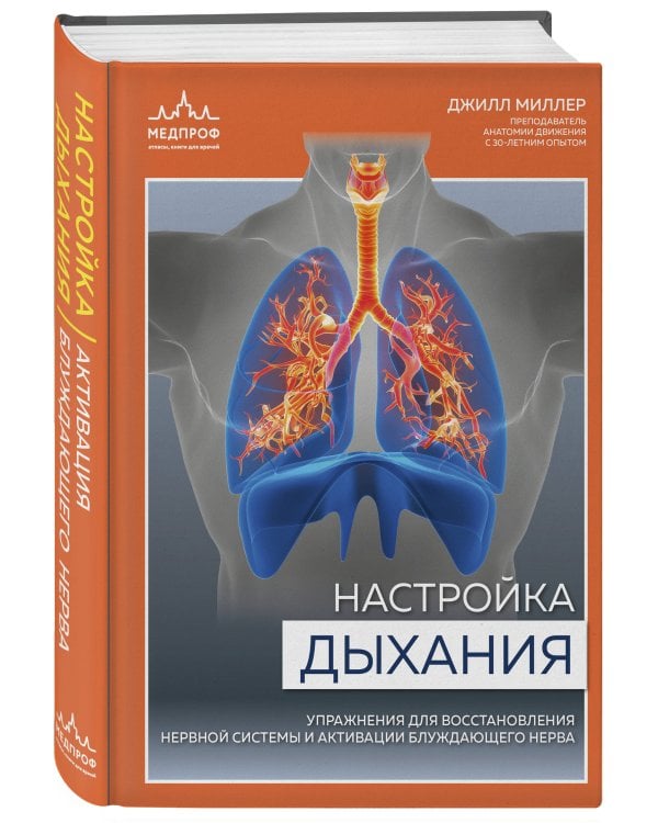 Настройка дыхания. Упражнения для восстановления нервной системы и активации блуждающего нерва